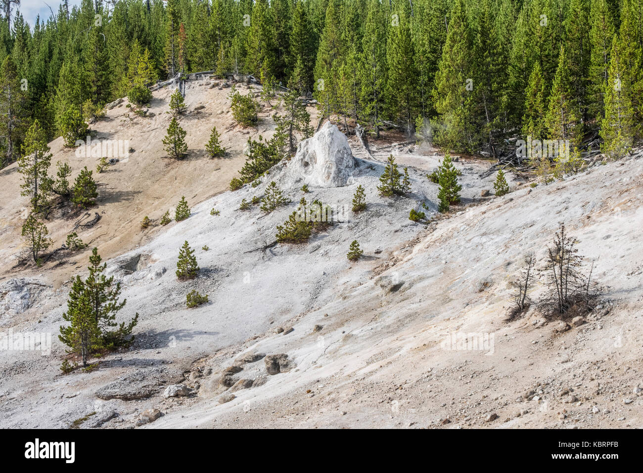 Mammoth mountain geyser basin trail. Yellowstone NP Stock Photo