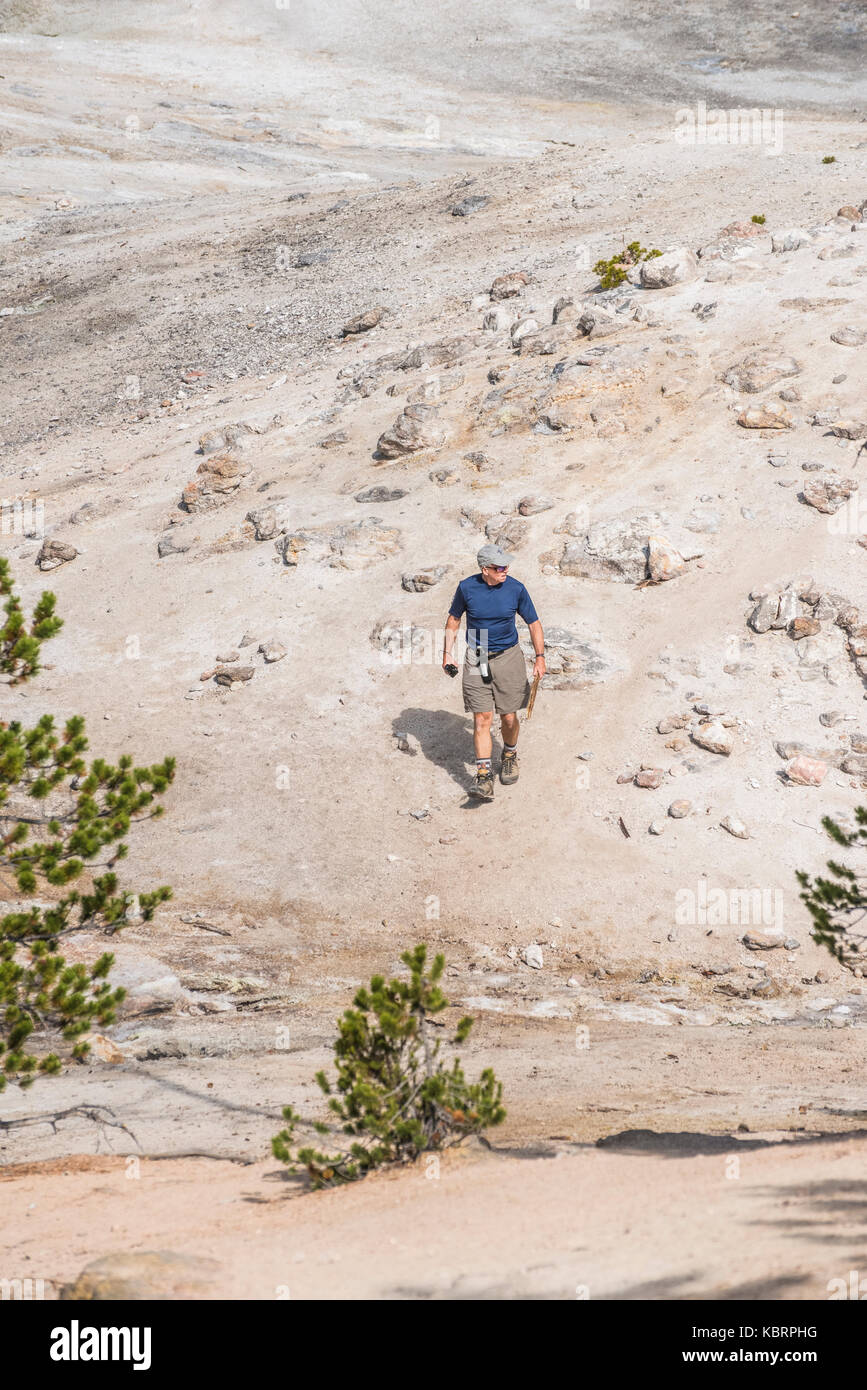 Mammoth mountain geyser basin trail. Yellowstone NP. Note the Bear