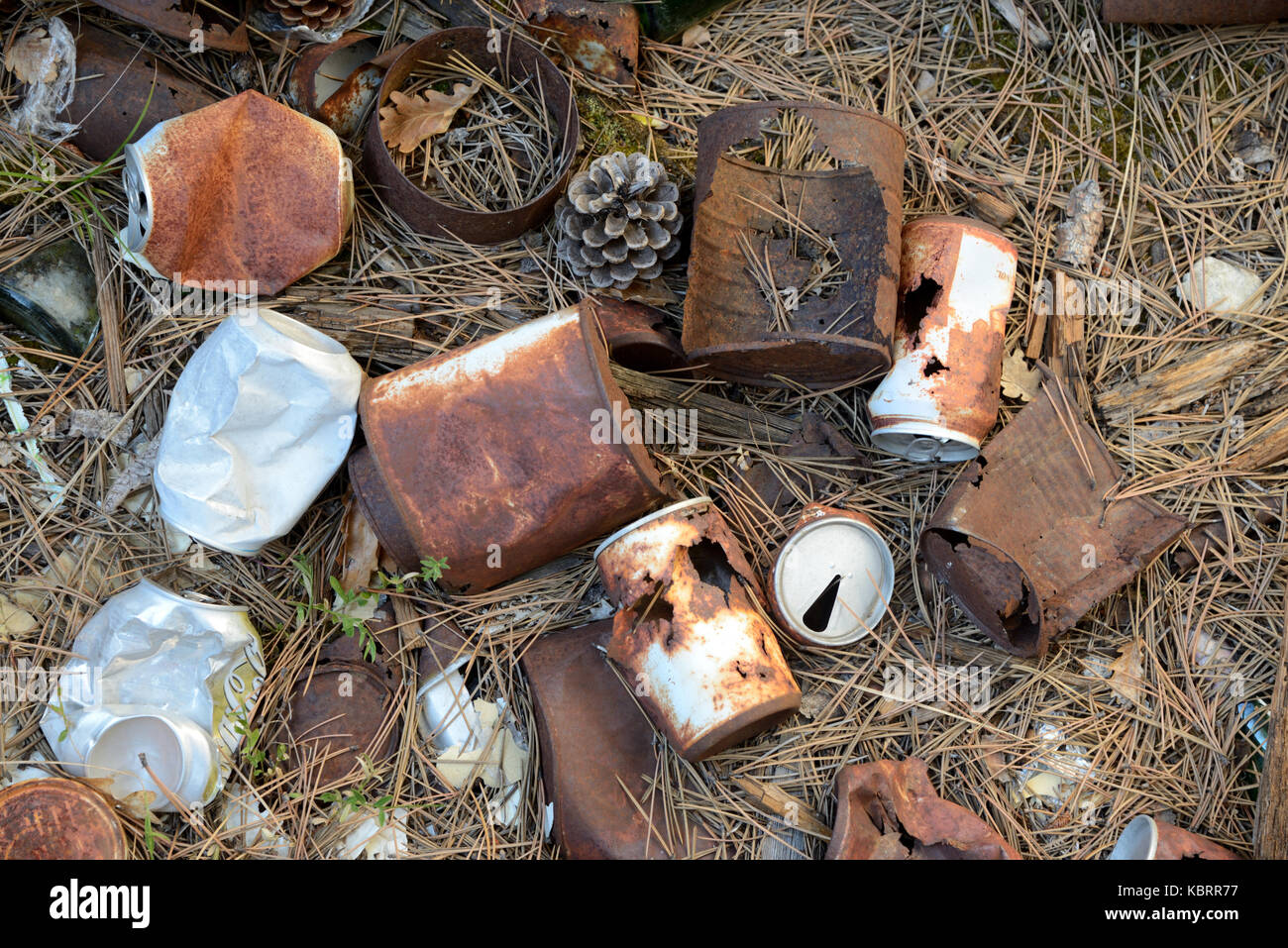 Rusty Old Tin Cans Scattered on Forest Floor Stock Photo