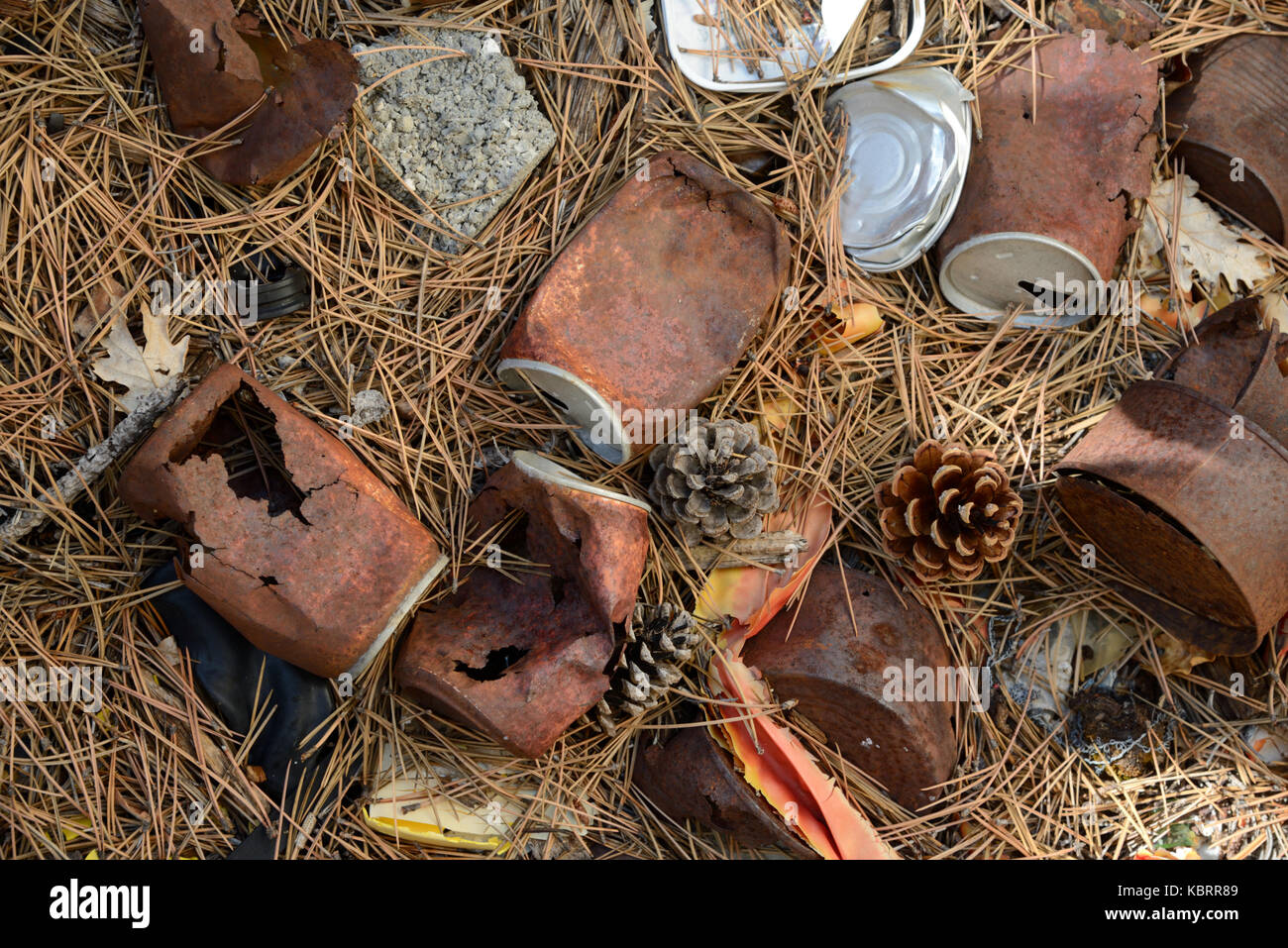 Rusty Old Tin Cans Scattered on Forest Floor Stock Photo