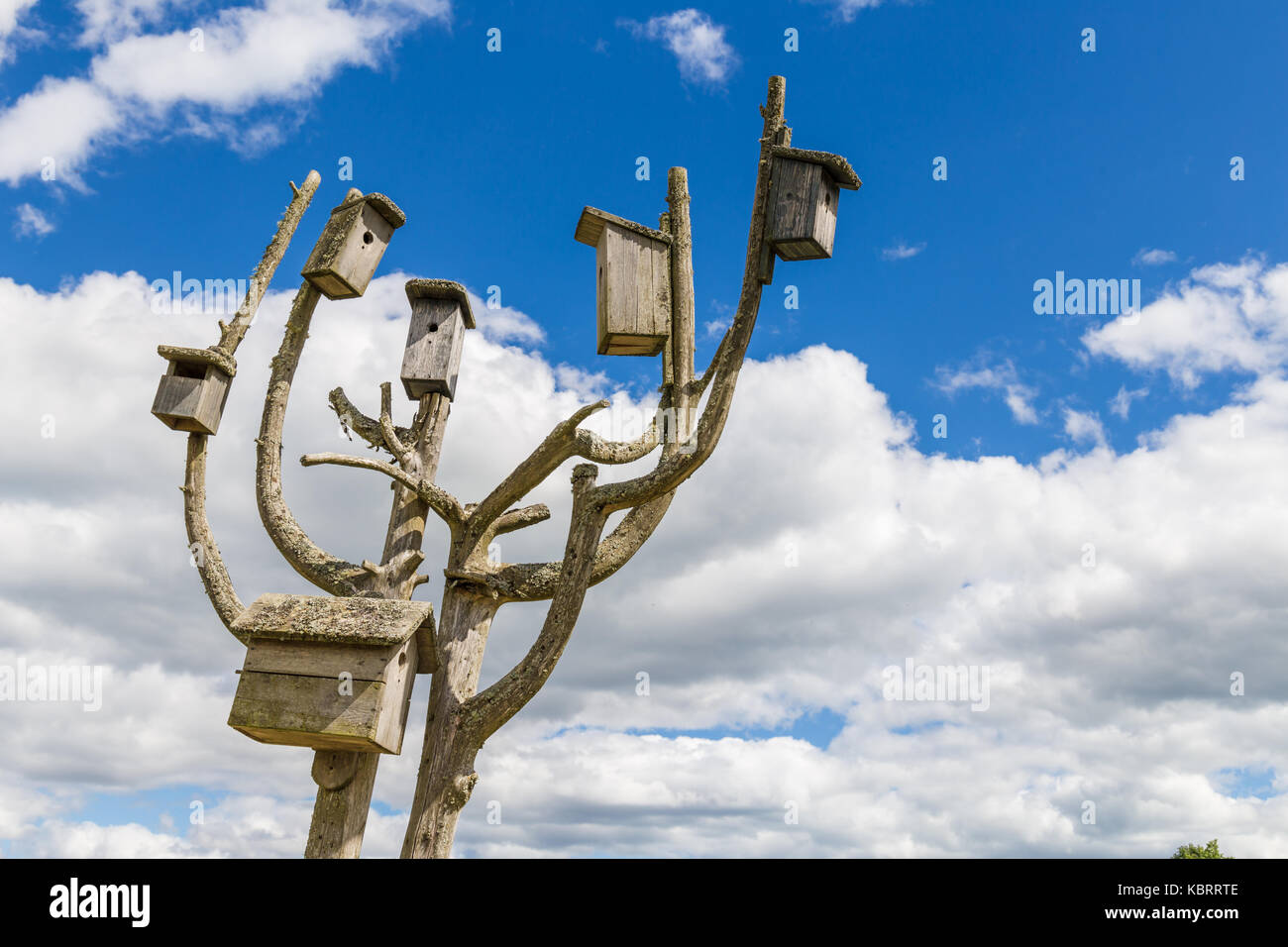 Heap of boxes for birds to nest in them in summer Stock Photo