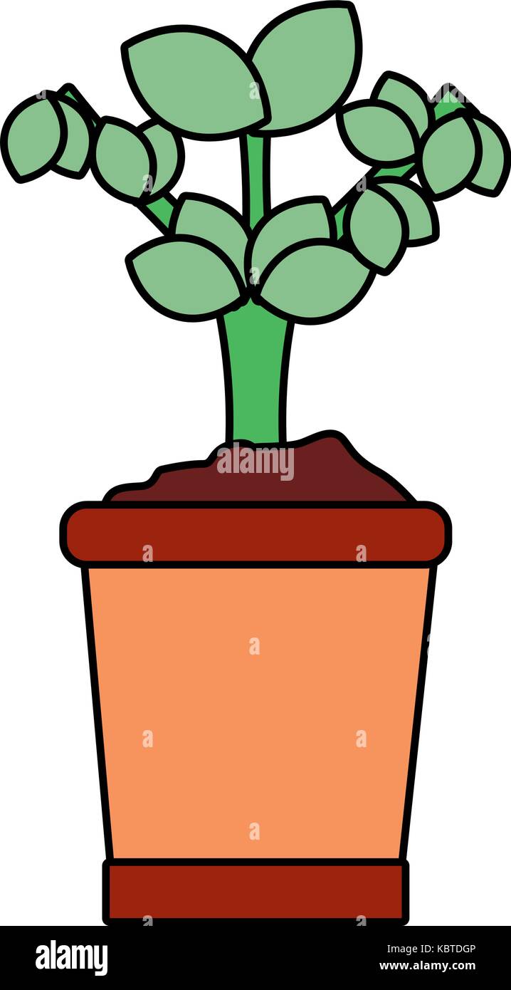 green plant in a pot icon over white background colorful design vector ...