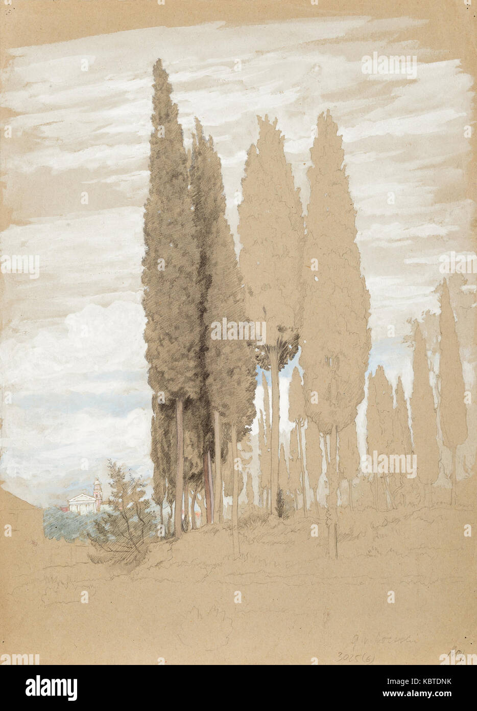 Hoesslin von Zypressen Stock Photo Alamy