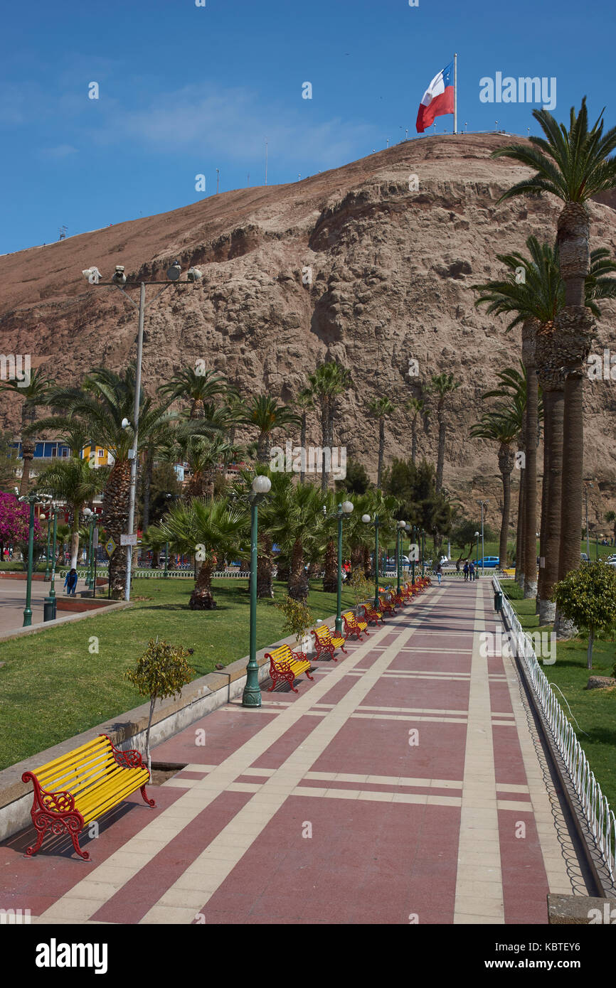 Morro de Arica towering over colourful benches and gardens of Plaza Vicuna McKenna in the coastal city of Arica in northern Chile. Stock Photo
