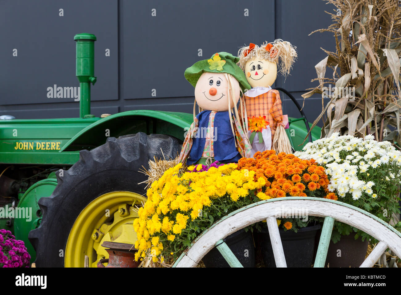 Fall harvest display at the local Canadian Tire Store in Winkler