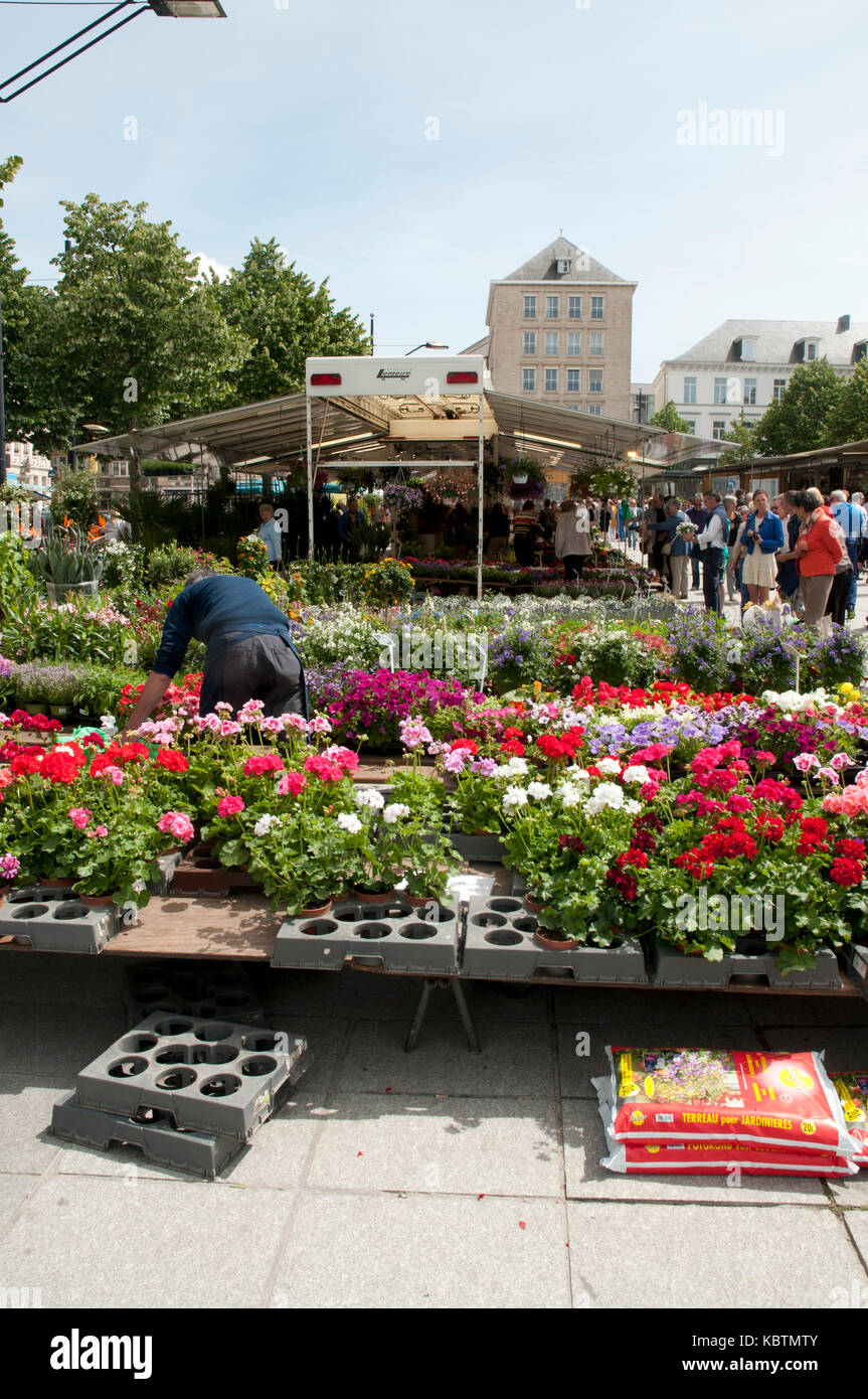 Kouter flower market in Ghent, Belgium, Europe Stock Photo Alamy