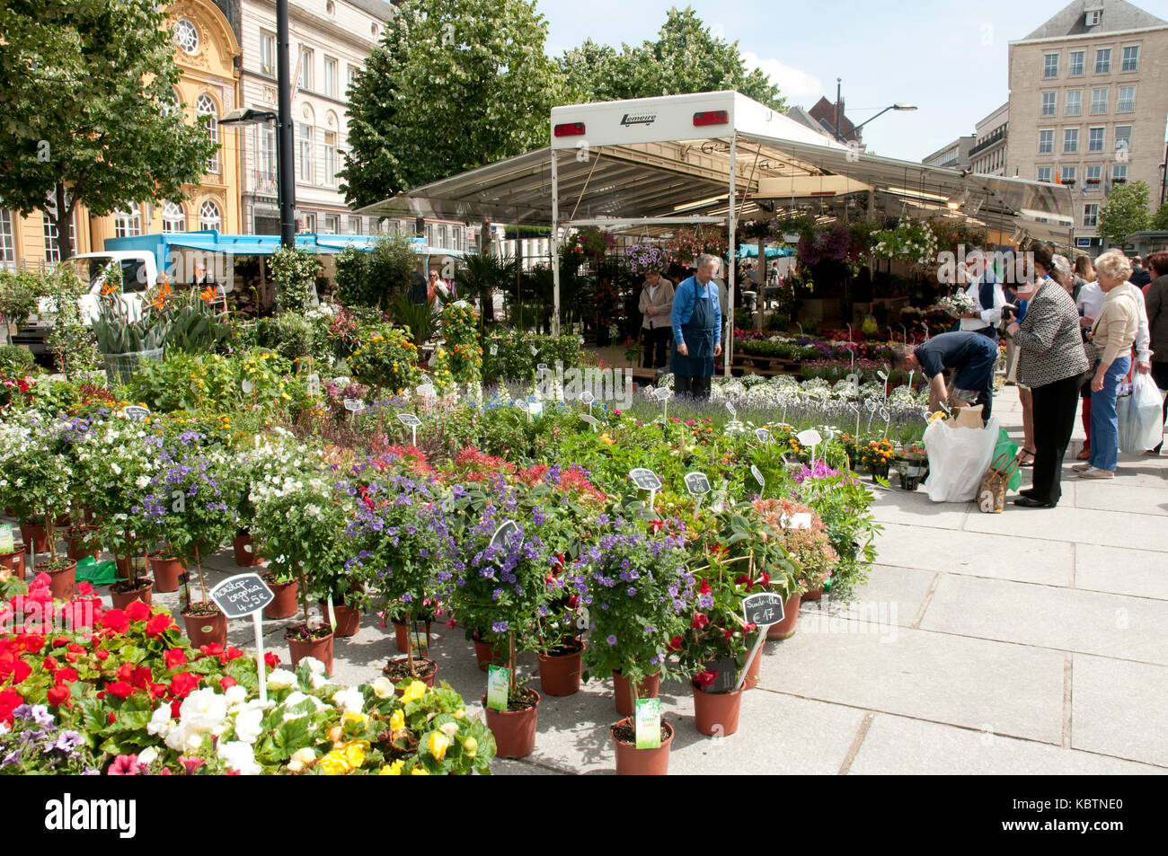 Kouter flower market in Ghent, Belgium, Europe Stock Photo Alamy