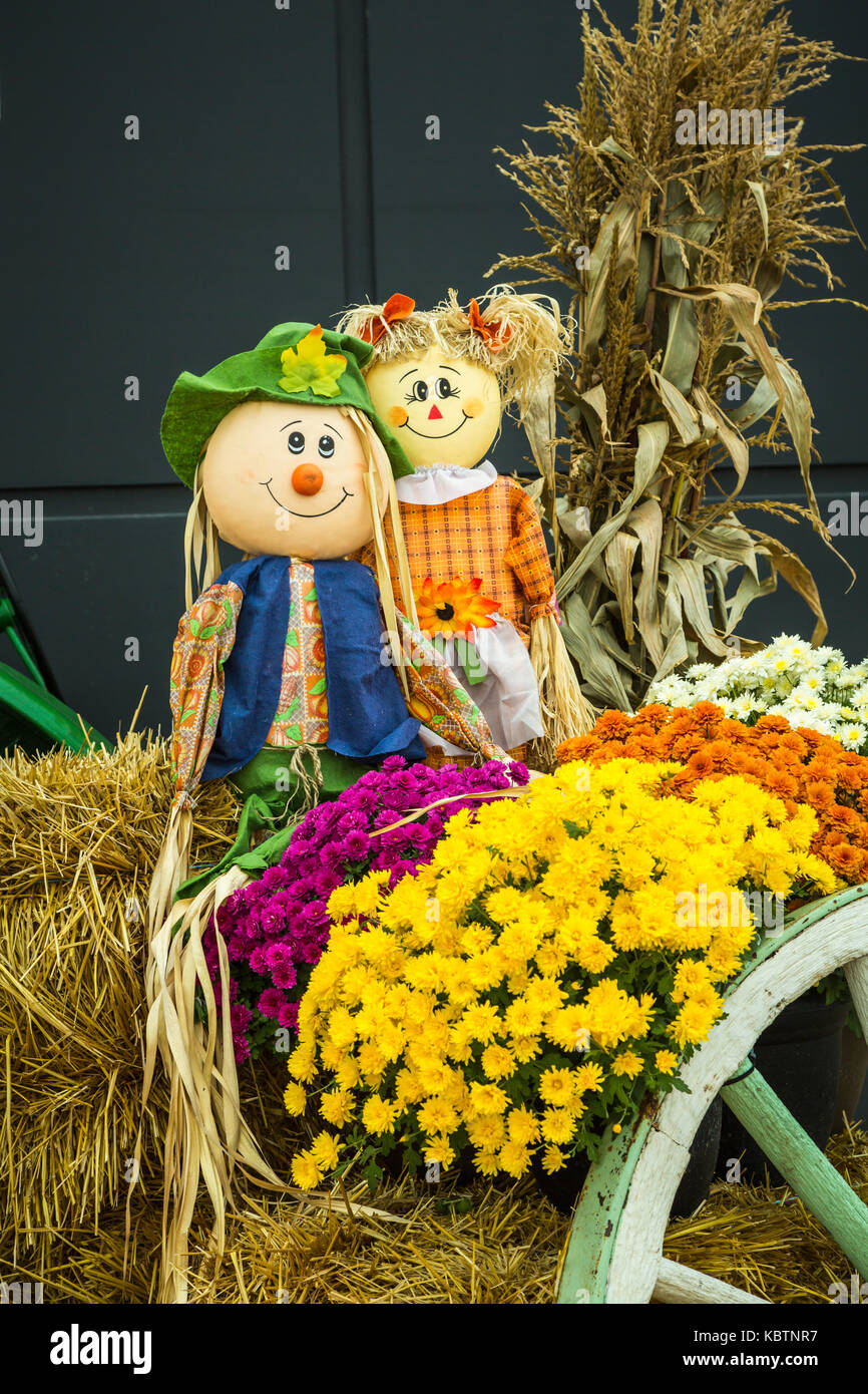 Fall harvest display at the local Canadian Tire Store in Winkler