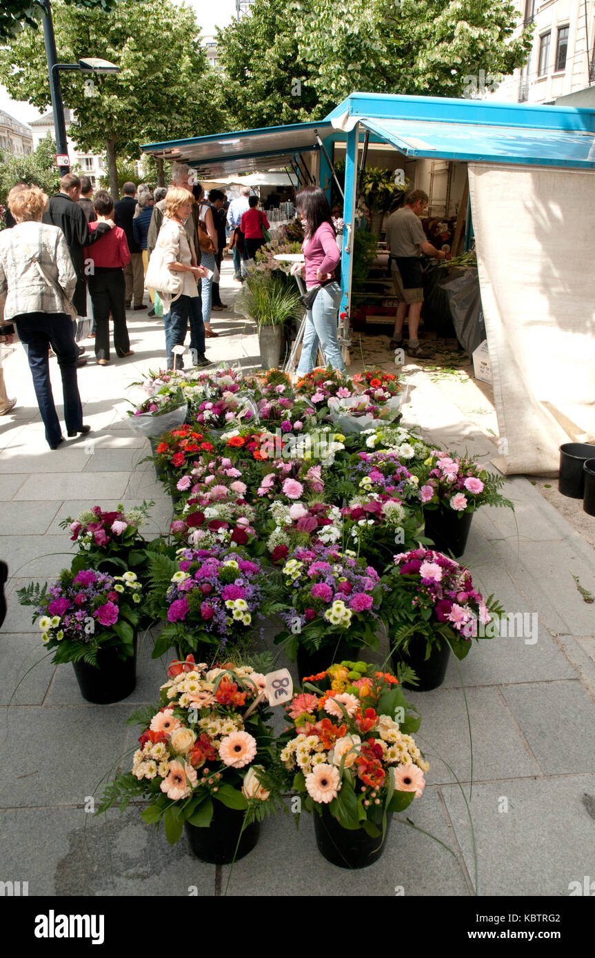 Kouter flower market in Ghent, Belgium, Europe Stock Photo Alamy