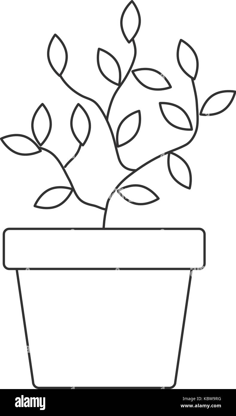 plant in a pot icon over white background vector illustration Stock ...