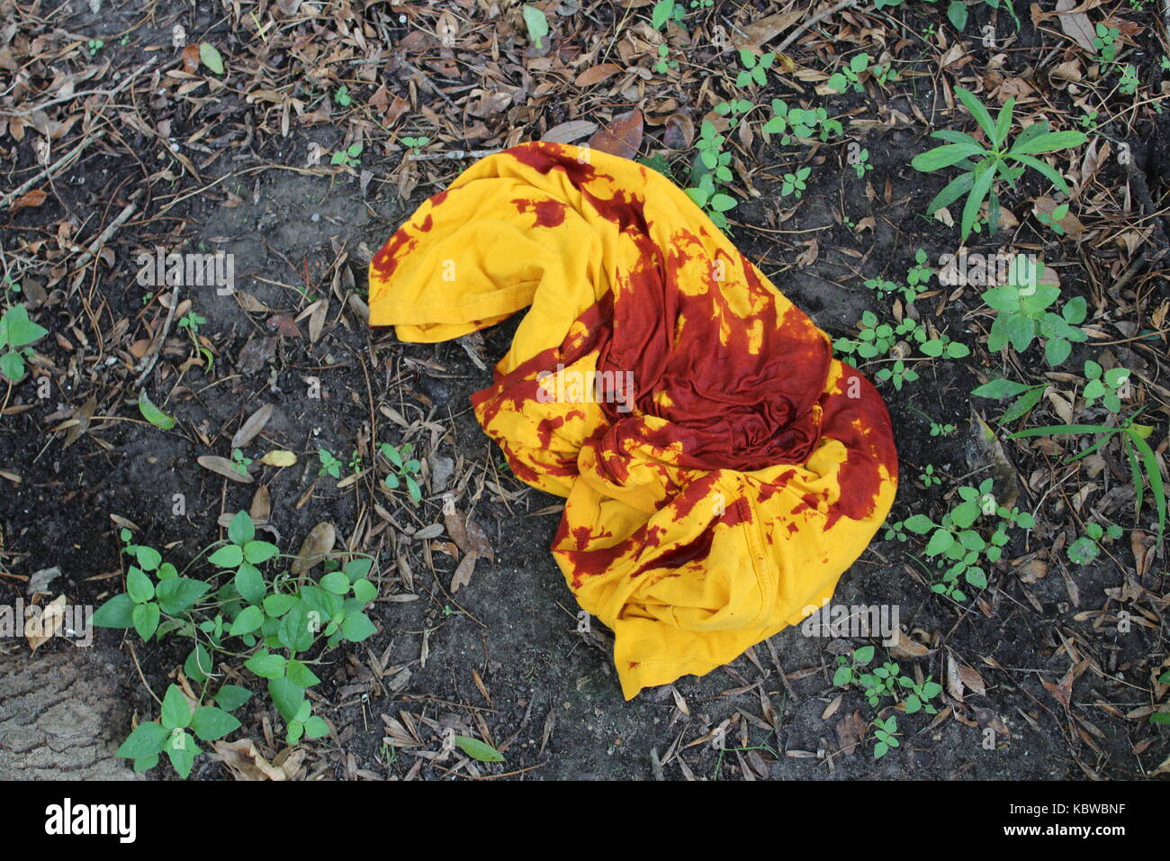 Crime scene murder investigation bloody hires stock photography and
