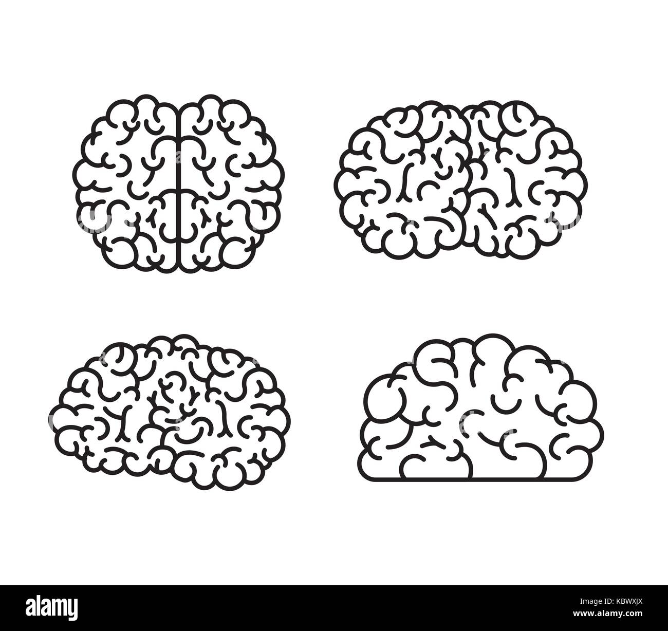 brain monochrome silhouettes several views Stock Vector Image & Art - Alamy