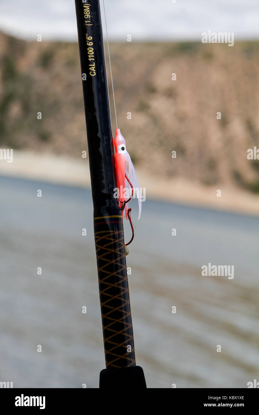Fishing lure attached to a fishing rod, ready to fish for Kokanee Salmon at  Blue Mesa Reservoir (Curecanti National Recreation Area), Gunnison, CO  Stock Photo - Alamy