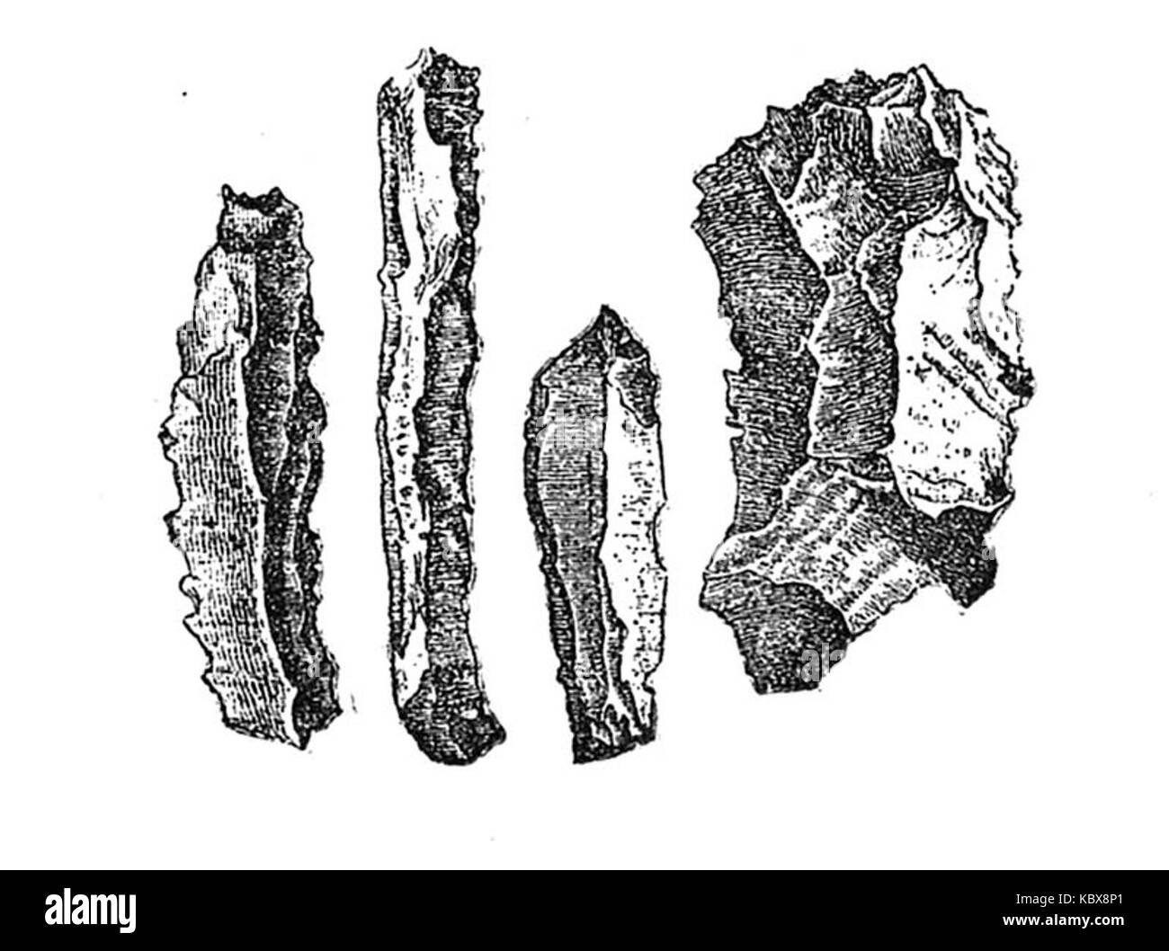 Map of flint Cut Out Stock Images & Pictures Alamy