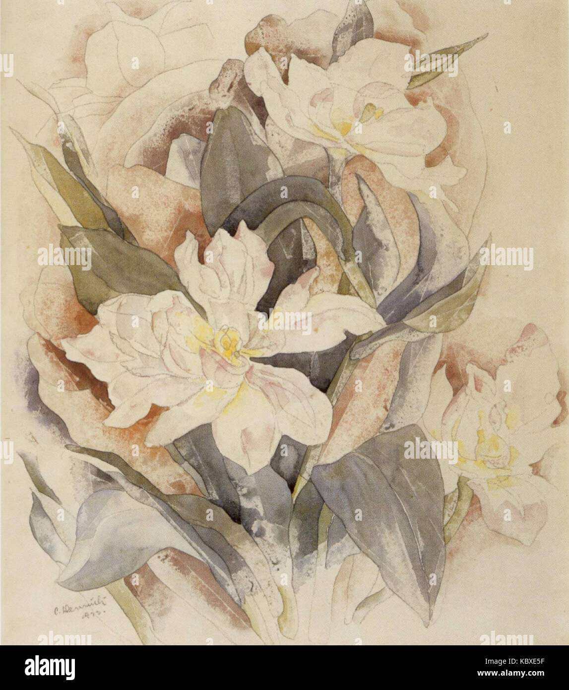 Watercolor over graphite hires stock photography and images Alamy