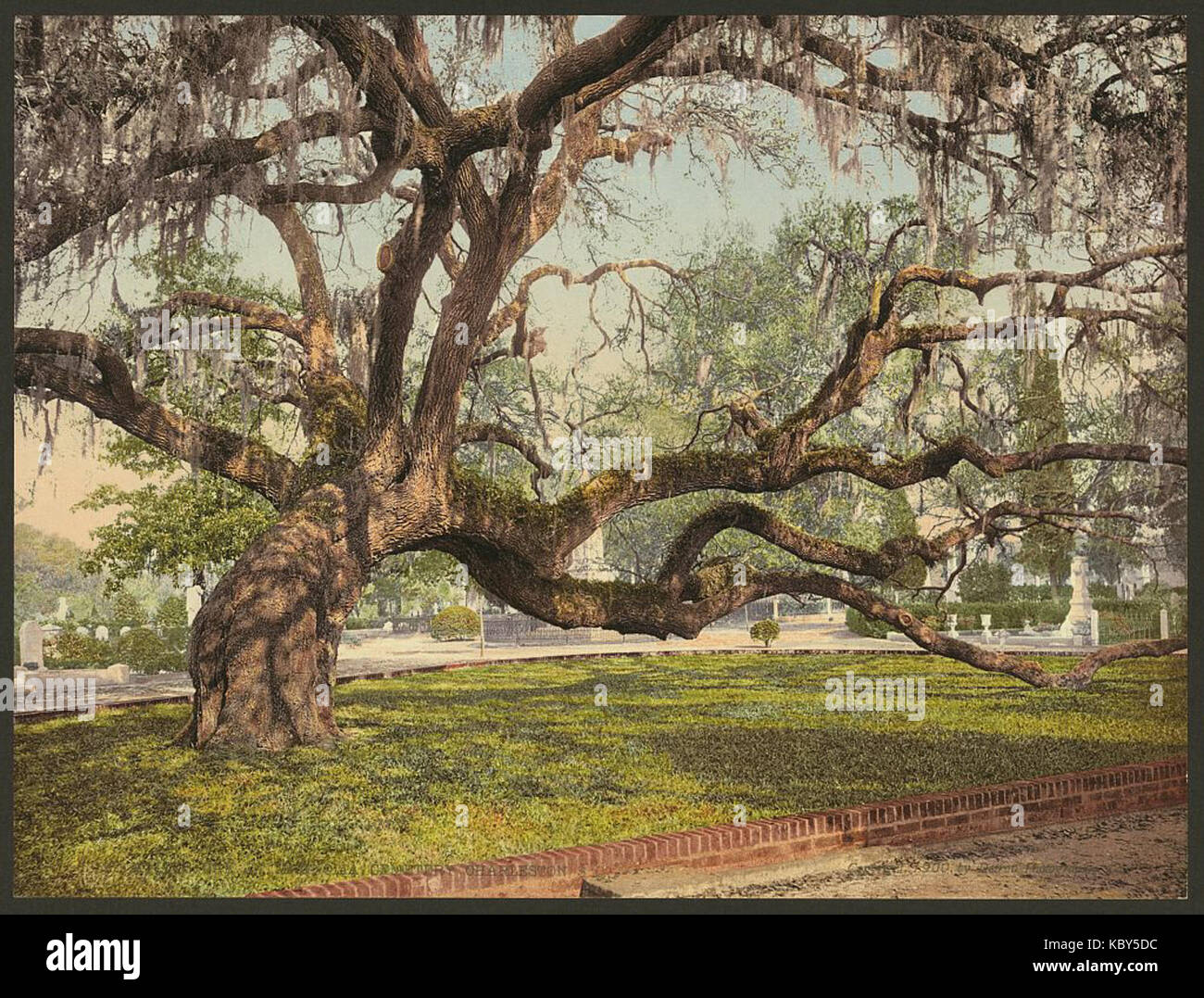 Live oak map hi-res stock photography and images - Alamy