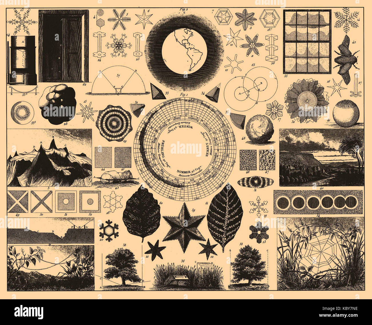 Iconographic Encyclopedia of Science, Literature and Art 035 Stock ...