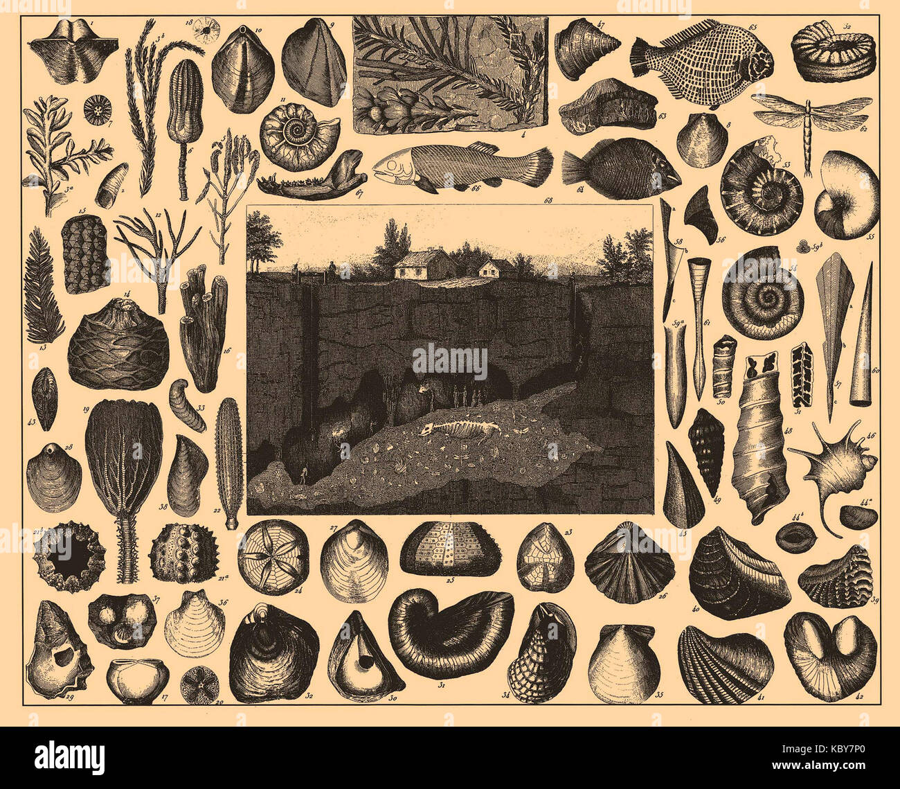 The 'Iconographic Encyclopedia of Science, Literature and Art' is a ...