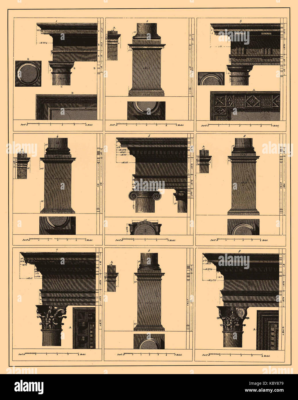 Iconographic Encyclopedia of Science, Literature and Art 423 Stock ...