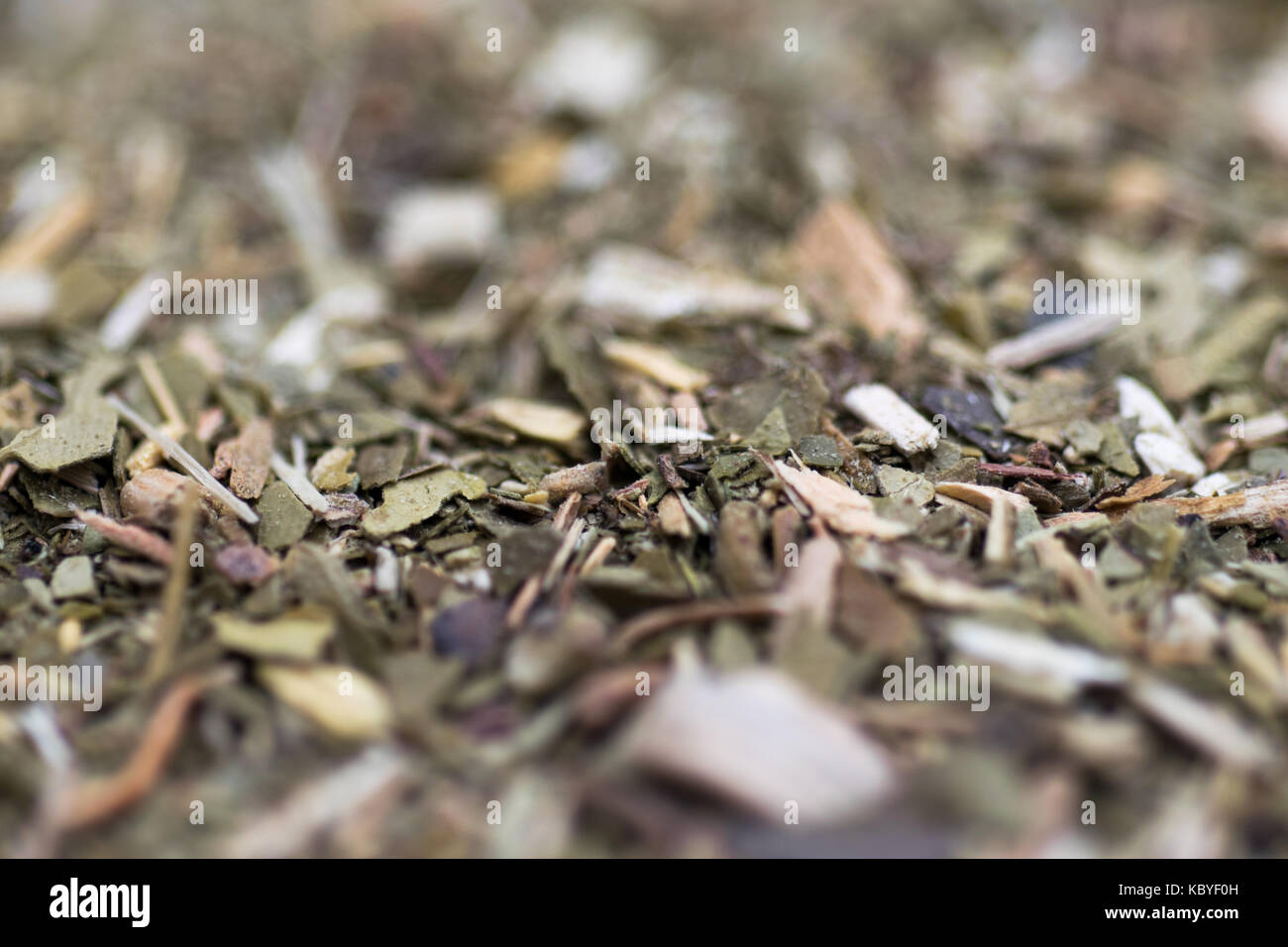 Dry yerba mate leaves, traditional drink of Argentina Stock Photo Alamy