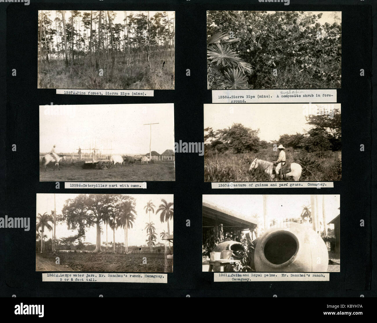 1910s rock creek park hi-res stock photography and images - Alamy
