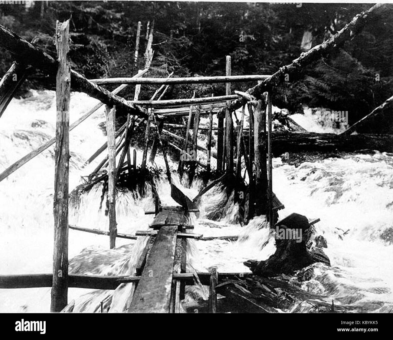 Fish trap in Tamgas Stream, Annette Island, Alaska, July 26, 1910 (COBB 156) Stock Photo