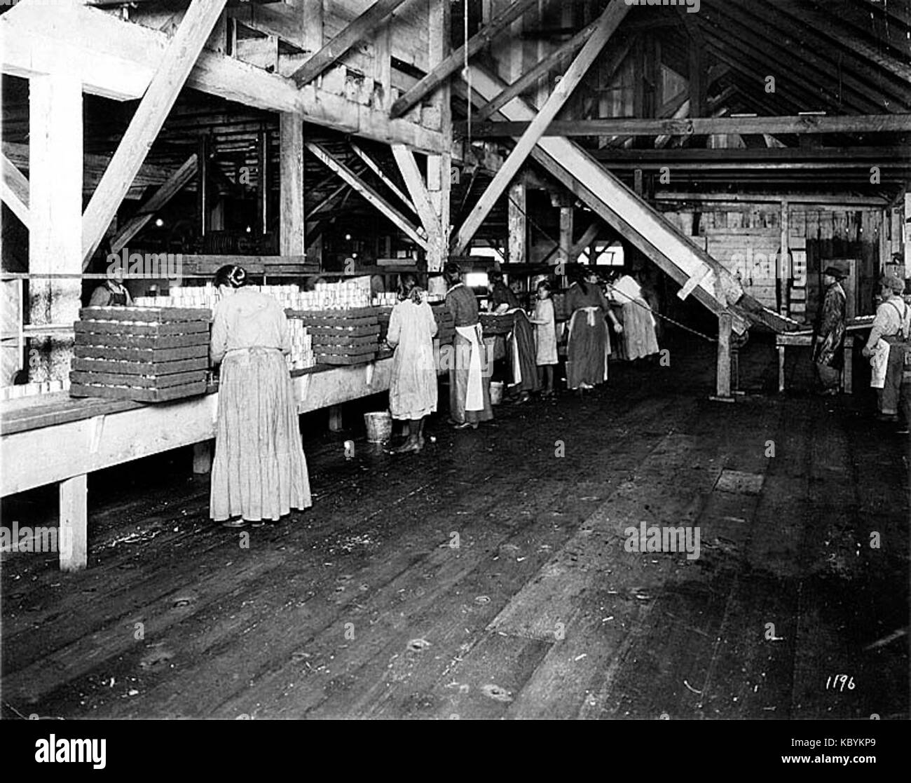 Cannery workers, unidentified cannery, Pacific Coast, nd (COBB 363