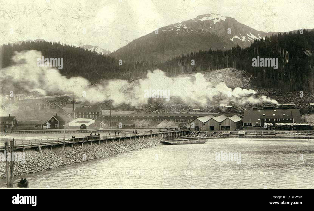 Treadwell Gold Mining Company mill and mine, Douglas Island, Alaska, ca 1889 (LAROCHE 133) Stock Photo