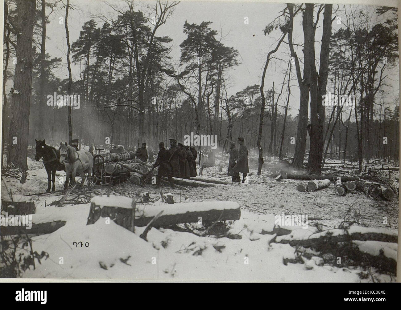 Holzverarbeitung im winterlichen Galizien (BildID 15681706) Stock Photo