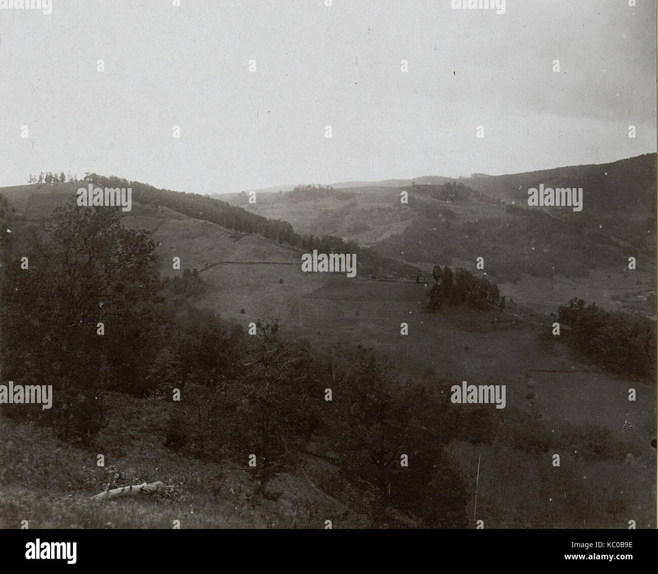 Panorama gegen Kuline und Ravno Brdo aufgenommen von Kote 557 (BildID