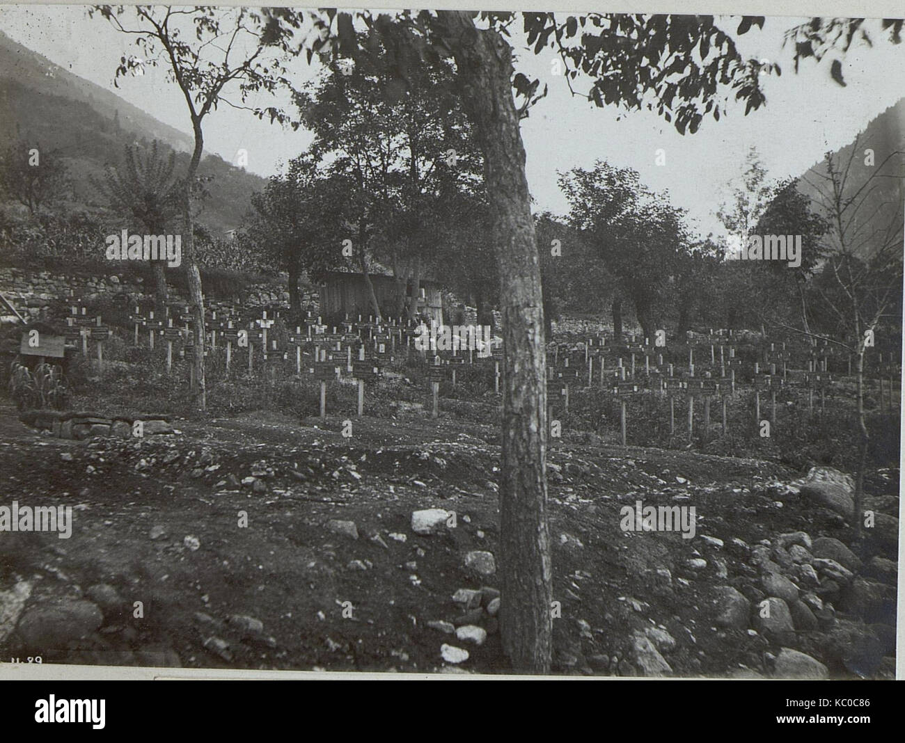 Arten. Heldenfriedhof. (BildID 15644058) Stock Photo