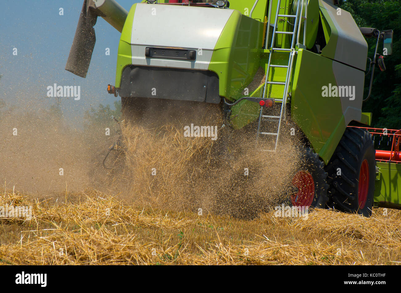 Grain harvesting with combine harvester Stock Photo