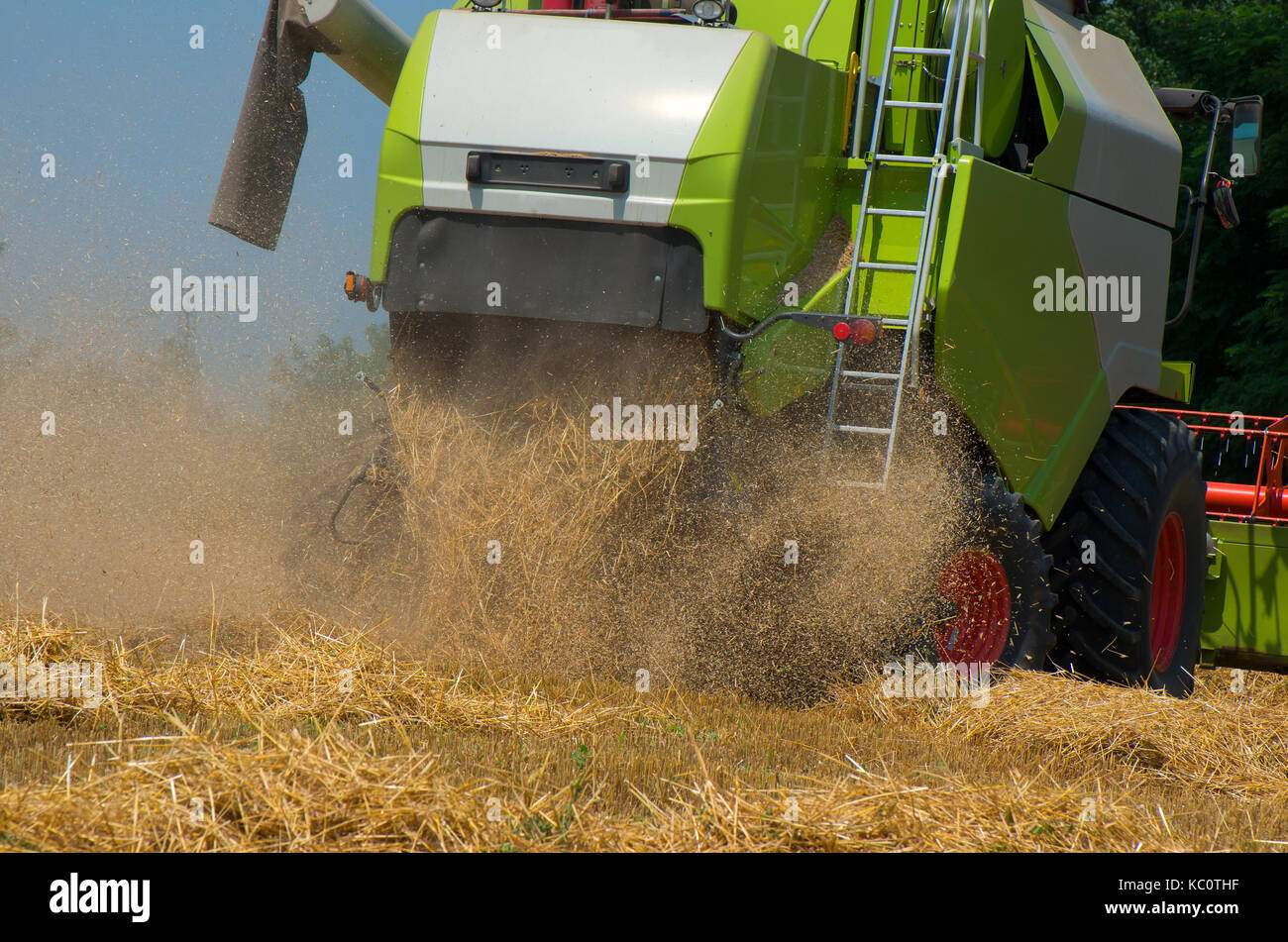 Grain harvesting with combine harvester Stock Photo Alamy
