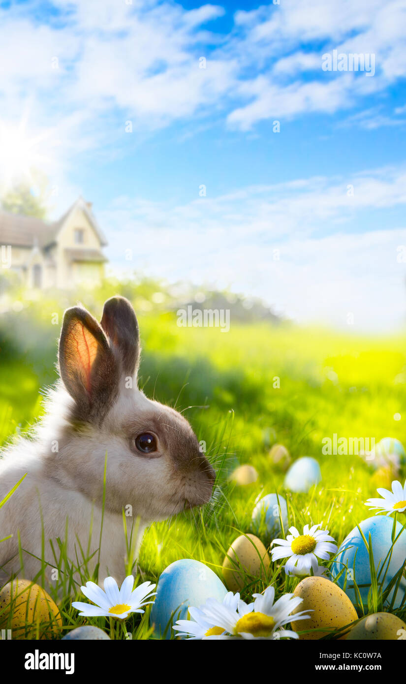 Art Colorful easter eggs and rabbit on green grass Stock Photo - Alamy