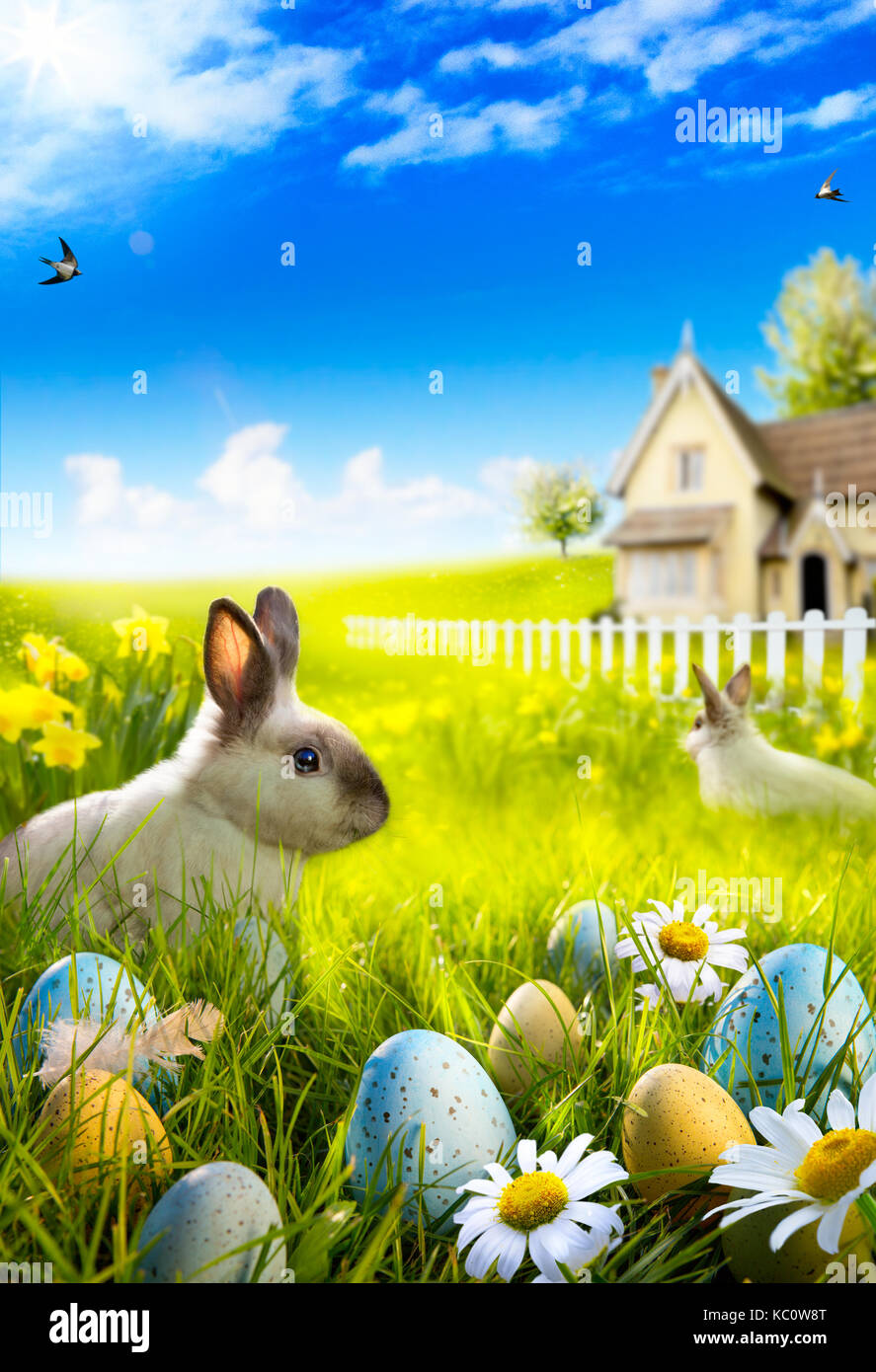 Art Easter bunny rabbit and easter eggs on meadow Stock Photo - Alamy