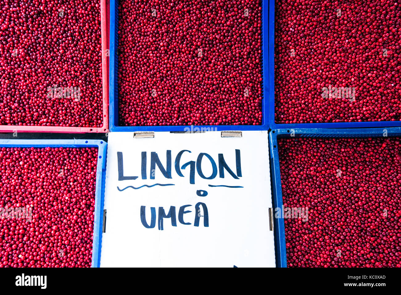 Lingon berries on sale at an outdoor market in Umea, Sweden Stock Photo