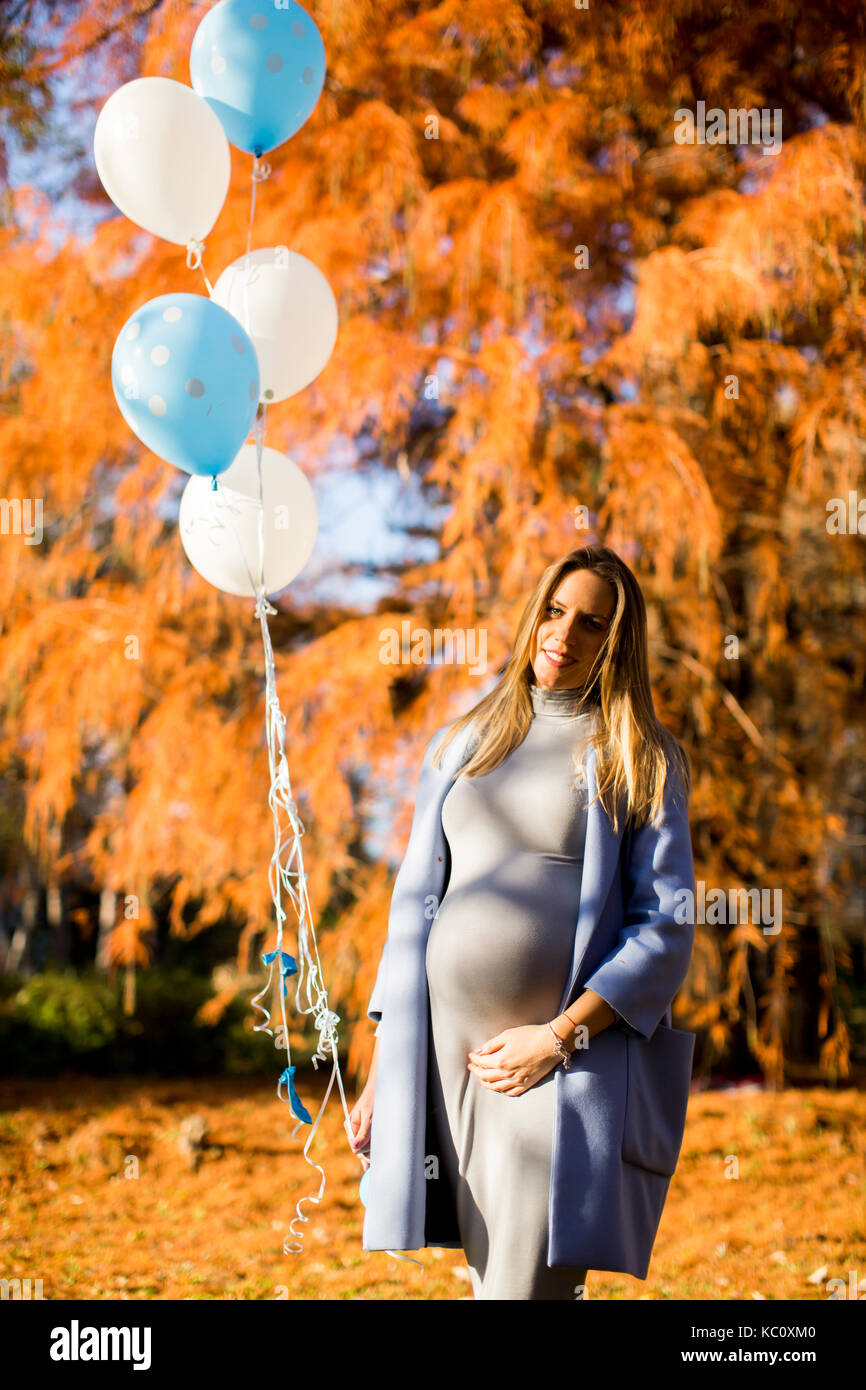 Pretty young pregnant woman with balloons in the autumn park Stock ...