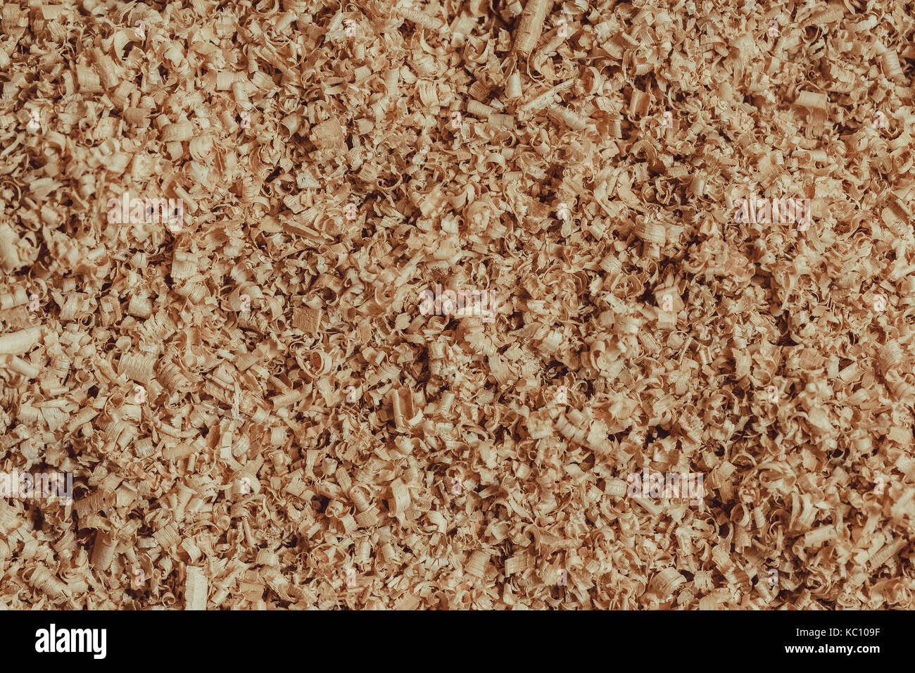 Pile of wood chips. Beautiful background of sawdust Stock Photo