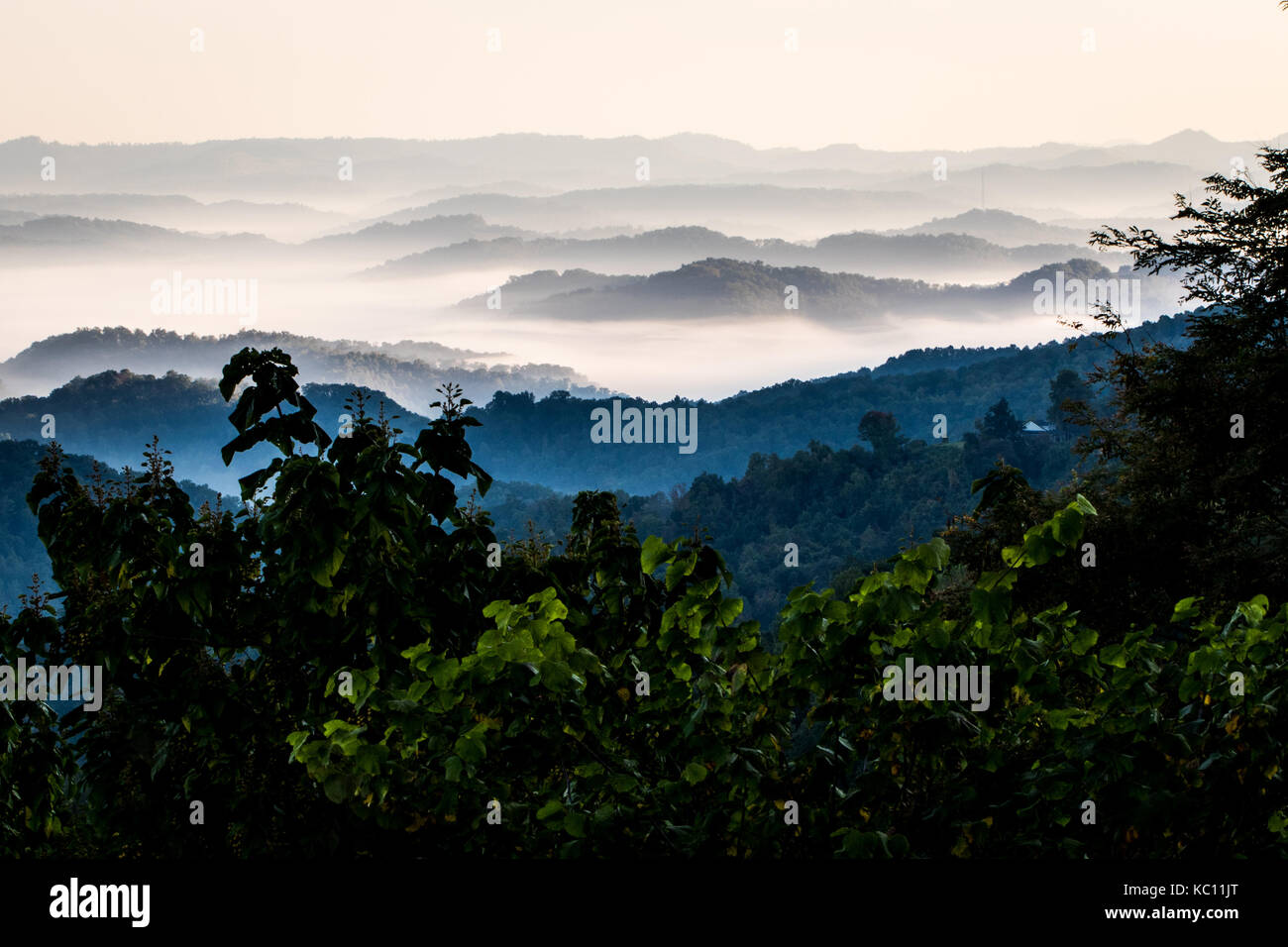 Morning fog hovers above the valleys in Central Appalachia. Stock Photo