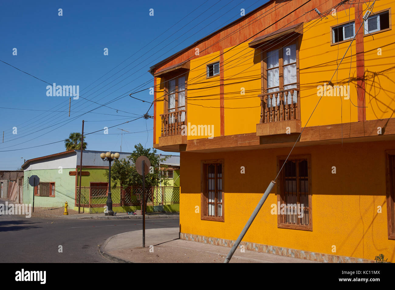 Colourful buildings along a tree lined street in the small village of Pica in the Atacama Desert, Tarapaca, Chile. Stock Photo
