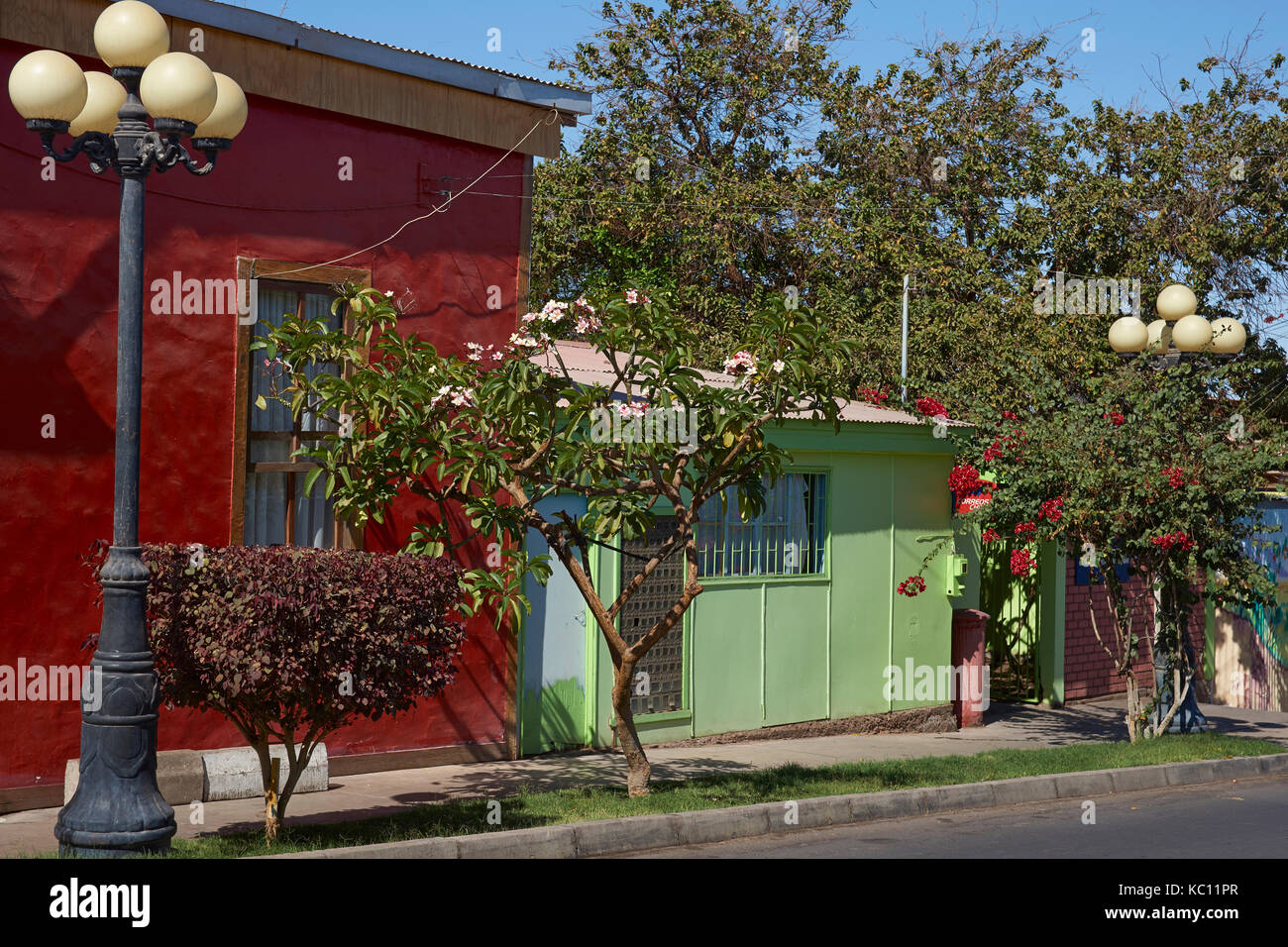 Colourful buildings along a tree lined street in the small village of Pica in the Atacama Desert, Tarapaca, Chile. Stock Photo
