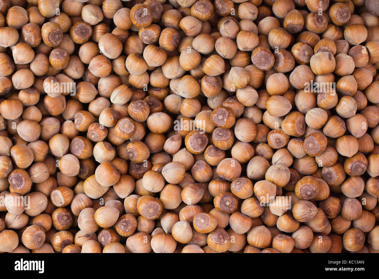 Hazelnuts Brown nuts background, fresh nuts pile with shell at the