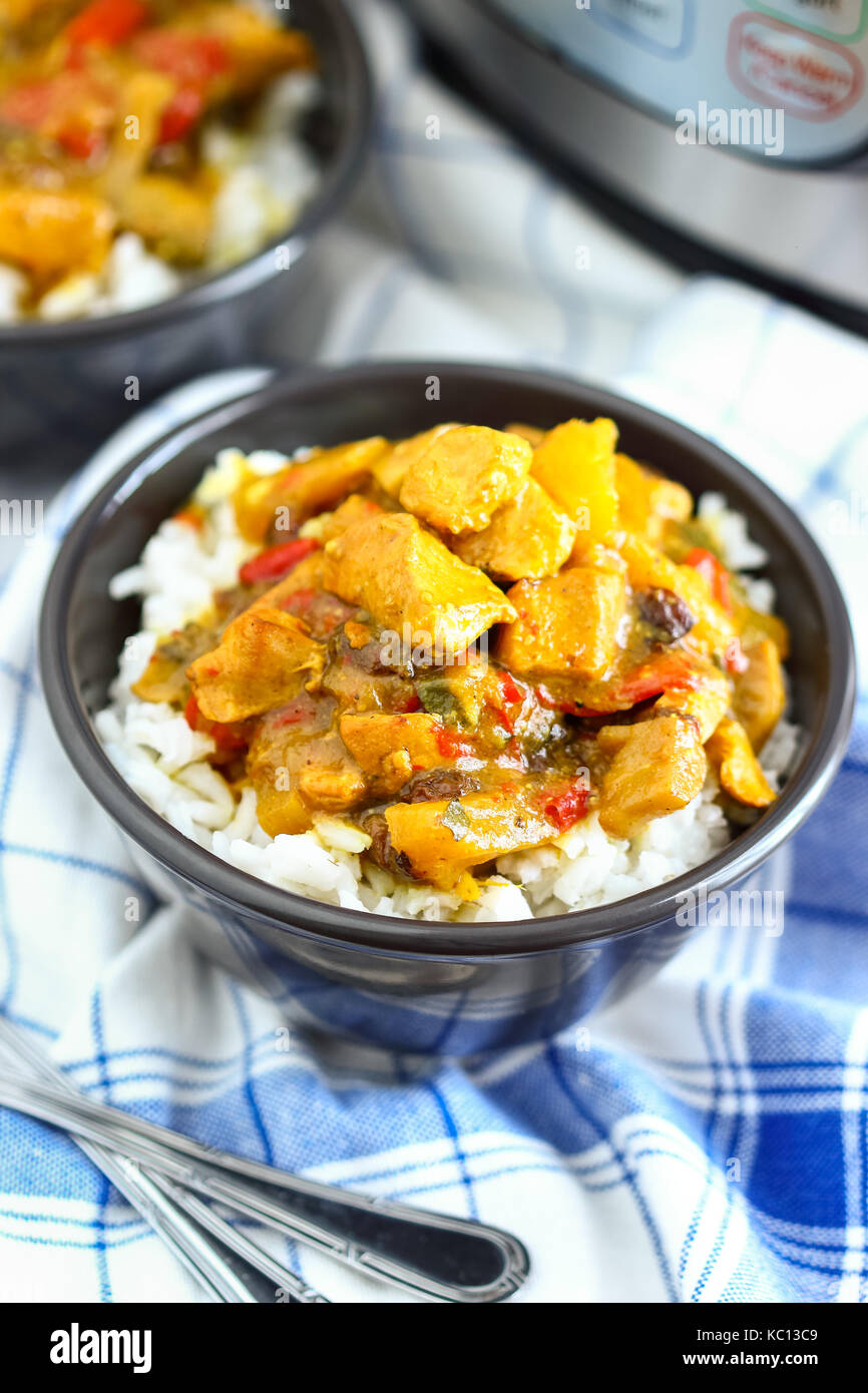 Pressure Cooker Chicken Curry Stock Photo Alamy