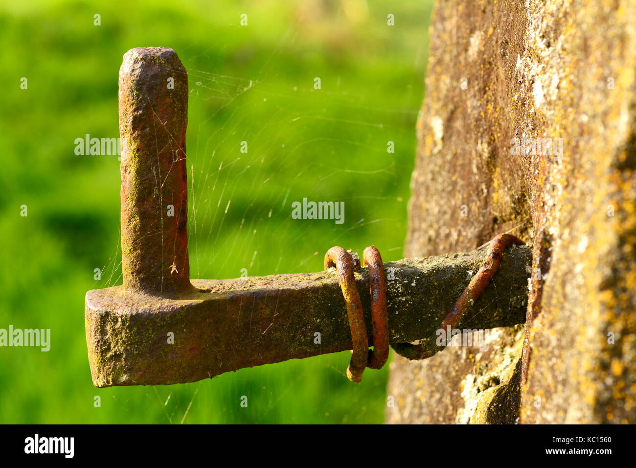 Old Gate Hinge covered in Cobweb and Wire coming out of a stone gate post covered in lichen Stock Photo