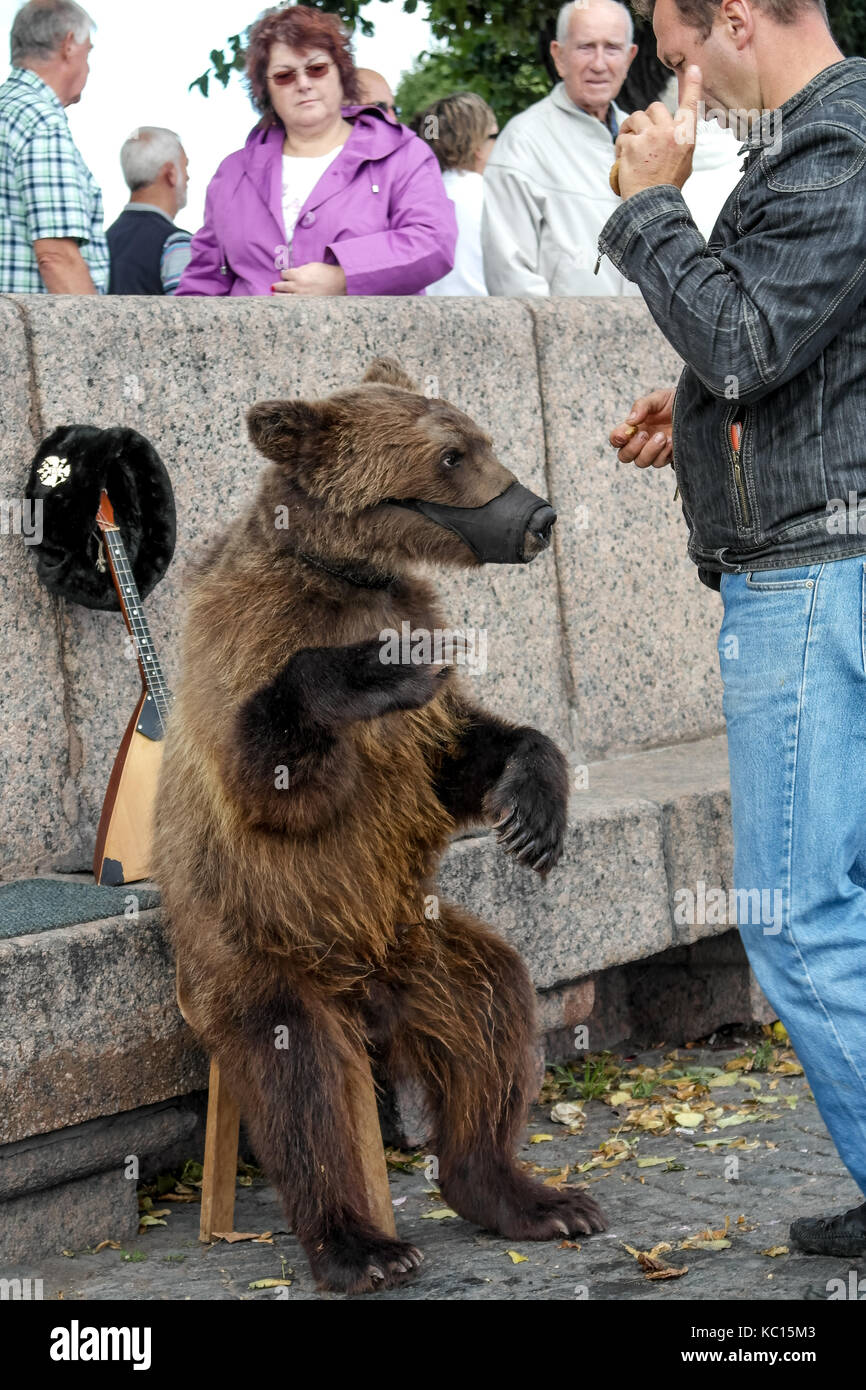 Dancing bear hi-res stock photography and images - Alamy