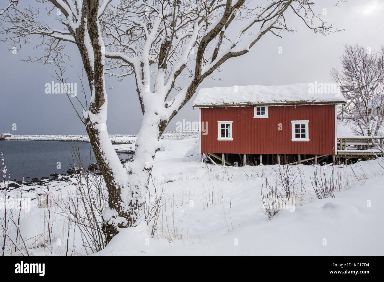 Typical houses of fishermen called Rorbu, Lofoten islands, Norway Stock Photo