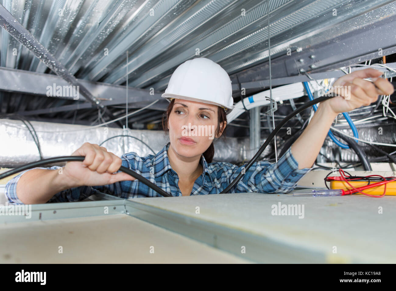 female electrician fixing light on ceiling Stock Photo - Alamy