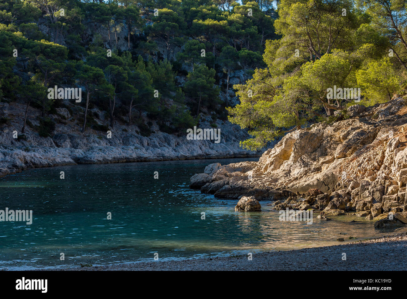 Calanques de Port-Pin, National Park, Cassis, Provence-Alpes-Cote d'Azur, France Stock Photo
