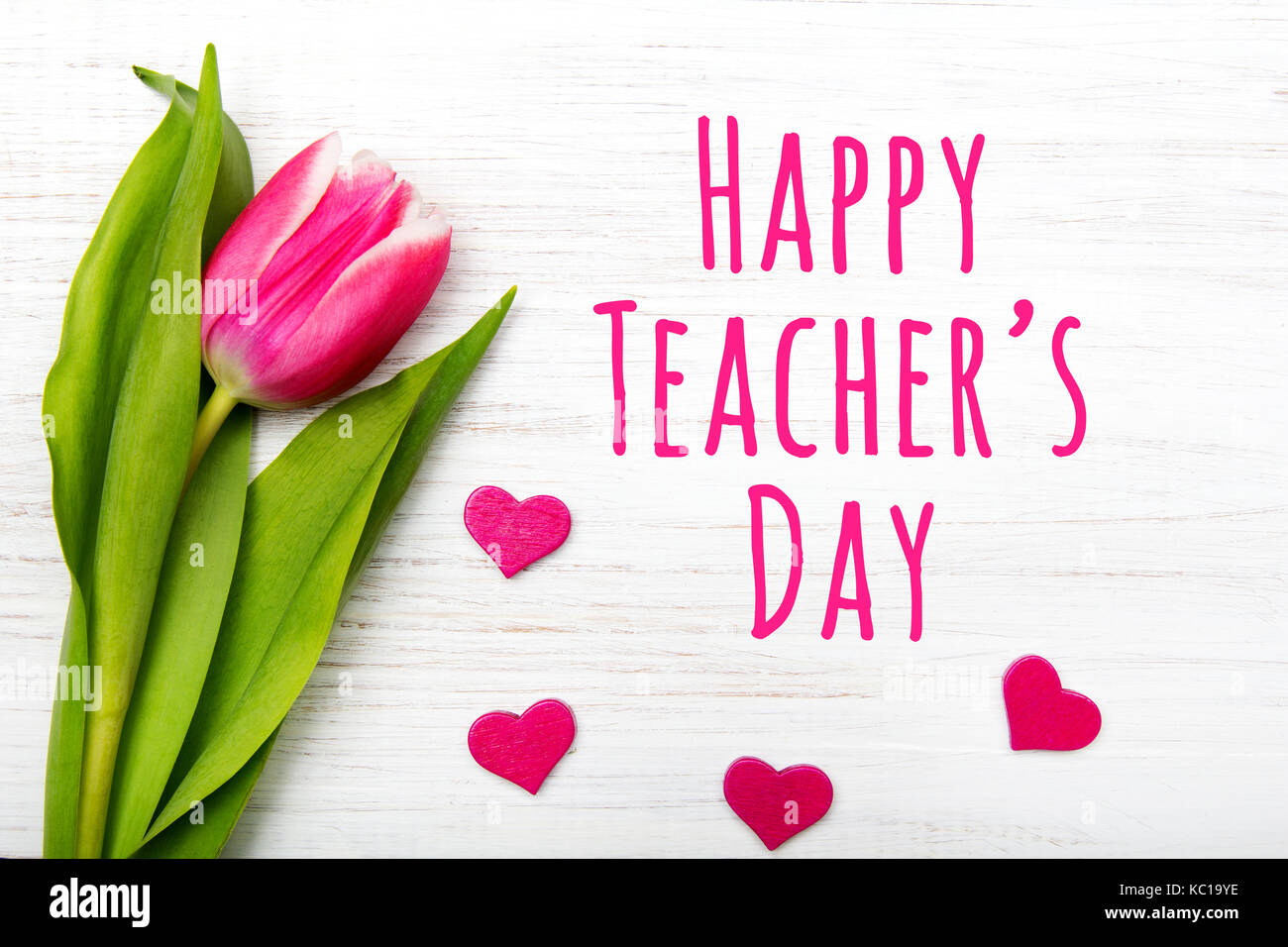 happy teacher's day card. tulip on white wooden background