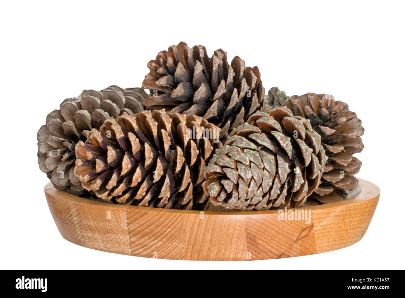 Pine cones, winter festive or seasonal decoration. Stock Photo